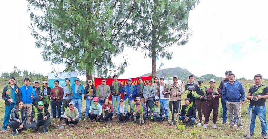 Más de 400 hectáreas reforestadas recuperadas en Chota, Cajamarca