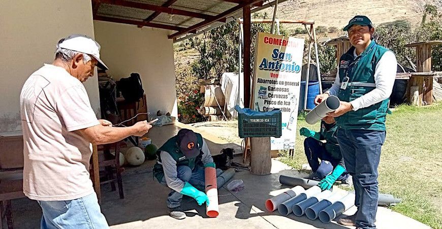 Senasa intensifican la lucha contra roedores 
