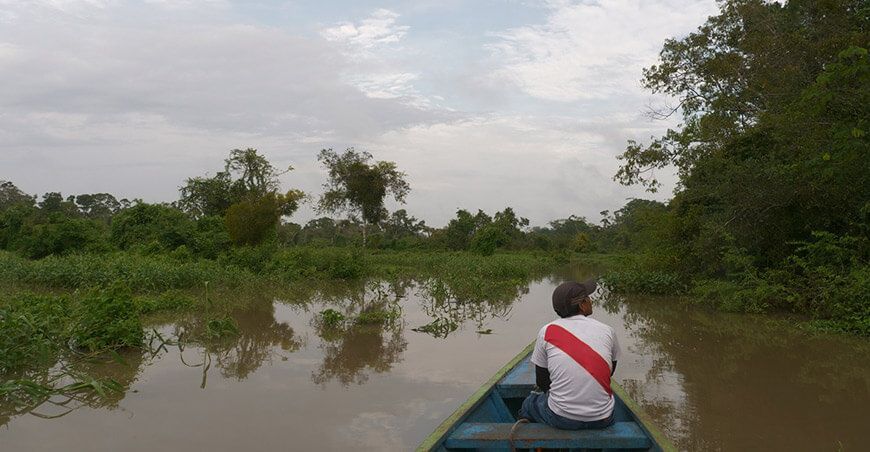 Ucayali concluye la zonificación forestal de todo su territorio