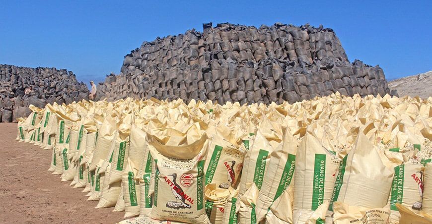 guano de isla Agro Rural e INIA ganan concurso de investigación para potenciar los beneficios del guano de las islas