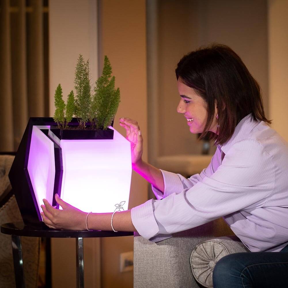 Alinti Bro Energía eléctrica a partir de la fotosíntesis de las plantas