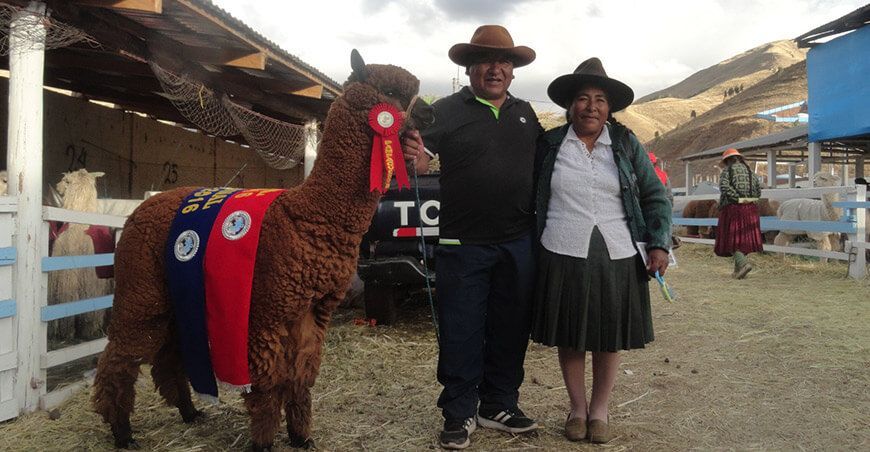  Esposos Máximo Odón Díaz Bustinza y Felicitas Victoria Salas Merma