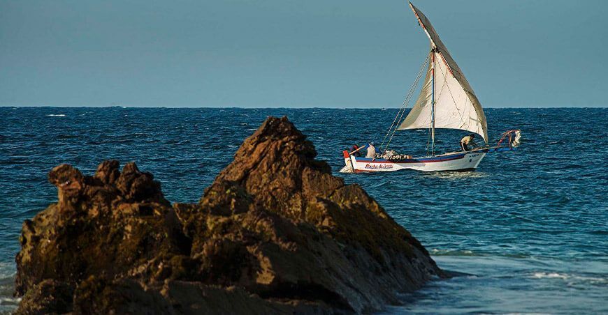 Gobierno aprueba la creación de la Reserva Nacional Mar Tropical de Grau Perú