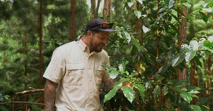 Orgullo peruano Artidoro Rodríguez Café incursionará en el mercado de EE. UU. con su aromático grano