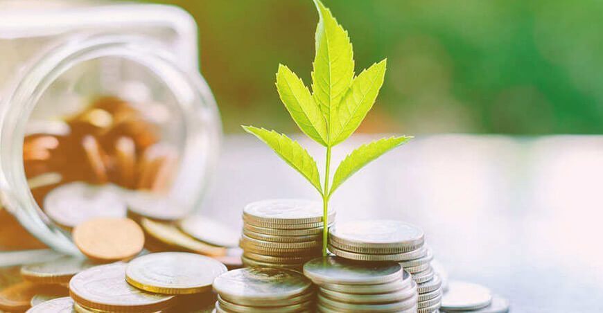 Biocrédito y Crediciclo, nuevas fuentes de financiamiento para el agro