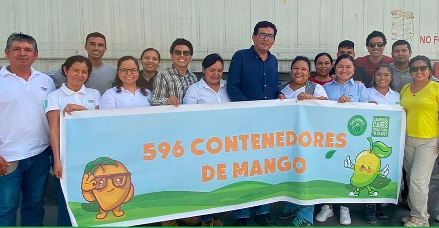 Camposol exportó 596 contenedores de mango durante la campaña 2023-2024
