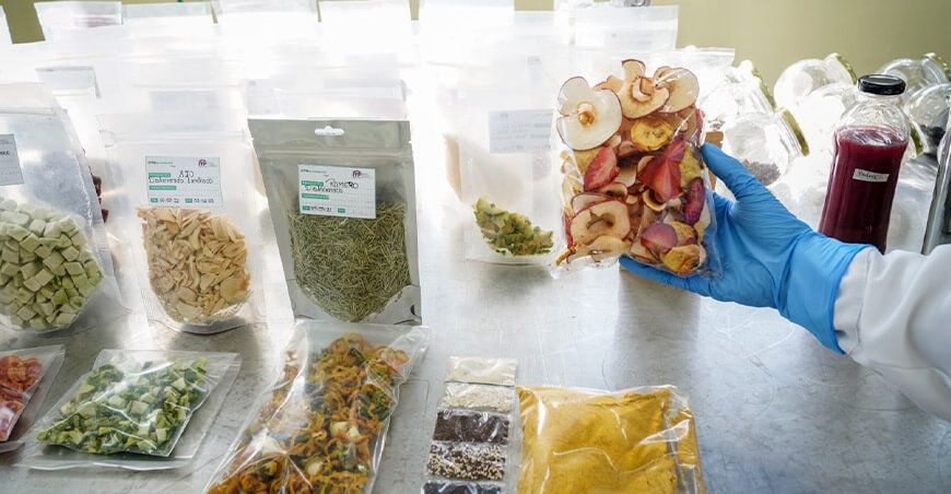 CiteAgroindustraila Chavimochic ITP deshidratación de frutas 