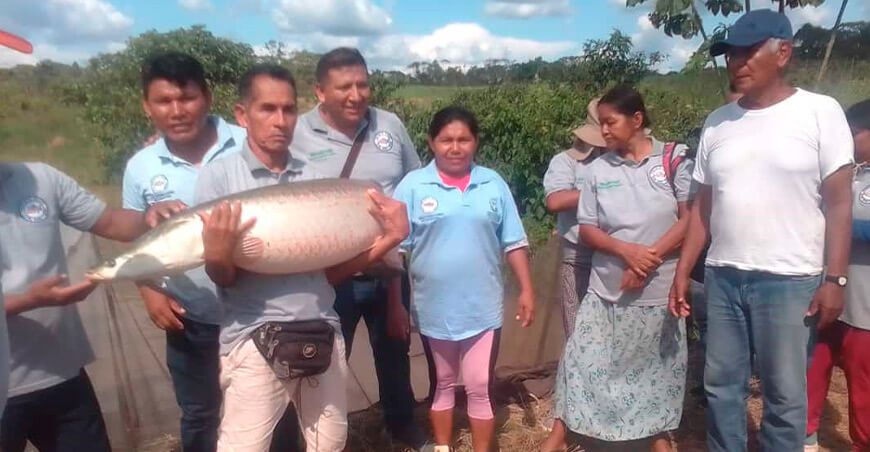 Clústeres empresariales para el desarrollo de la Amazonía productores acuícolas Perú