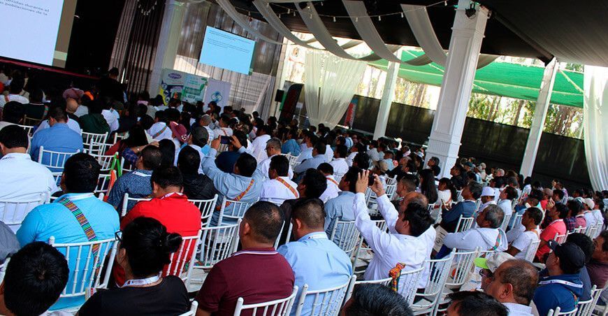 Únete al XI Congreso Internacional de Mango y Palto Perú