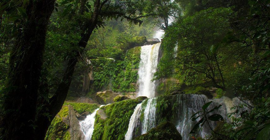 Serfor inicia curso para incentivar proyectos destinados a reducir emisiones de carbono producido por la deforestación