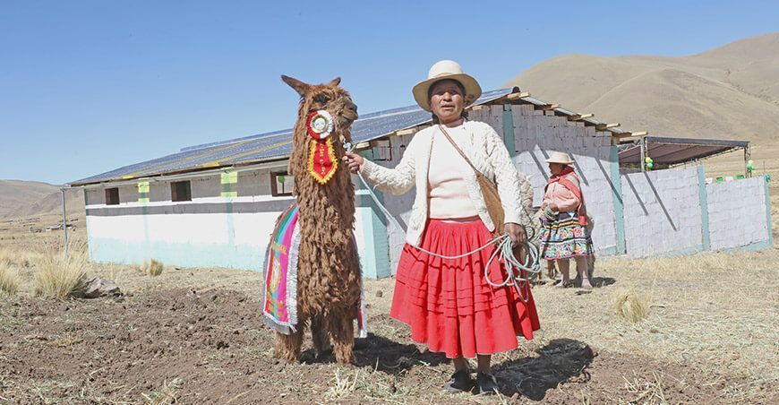 Implementarán 3080 cobertizos para proteger más de 360 000 cabezas de ganado en zonas altoandinas Perú