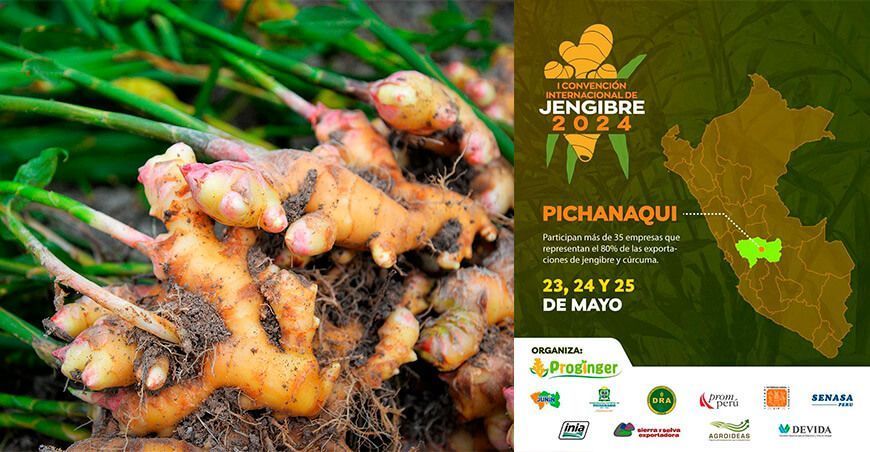 primera Convención Internacional de Jengibre Perú
