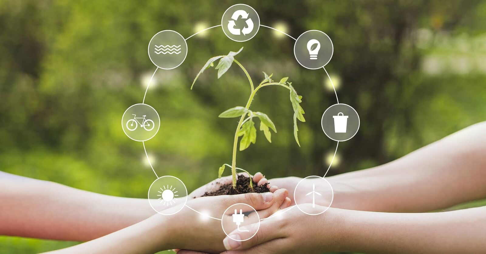 Crediciclo: Una nueva alternativa financiera que respalda una amplia gama de proyectos en todos los sectores económicos.