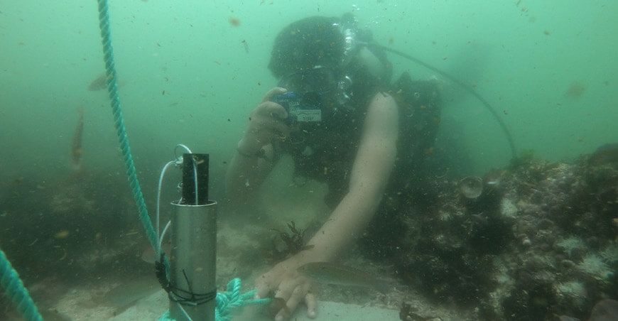 Realizan monitoreo de parámetros fisicoquímicos del mar peruano para evaluar los efectos de El Niño