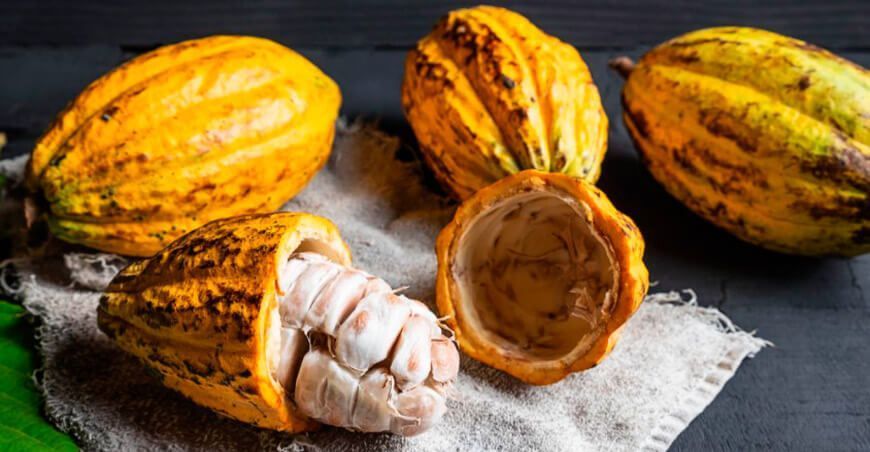 exportación de cacao Perú