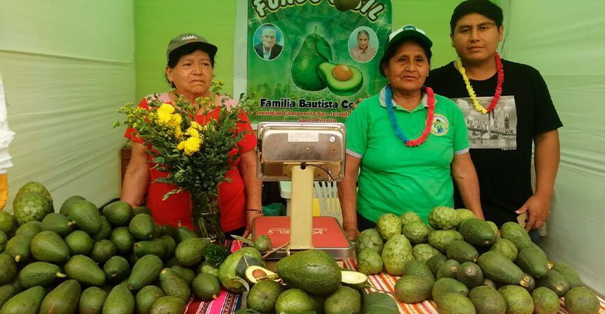 XXVI Festival de la Palta Fuerte impulsará la economía de los productores de Santa Eulalia en Lima
