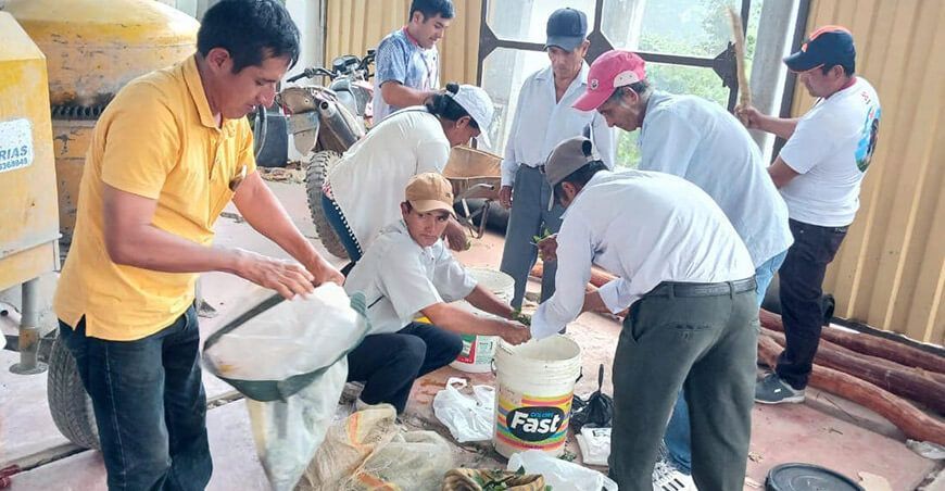 Productores de Namballe implementan tecnologías para la conservación de suelos agrarios en Cajamarca Perú