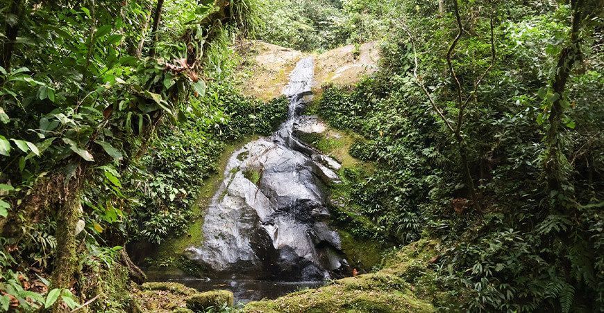 Más de 300 concesionarios y agricultores impulsan proyecto para reducir la deforestación de los bosques Madre de Dios Perú