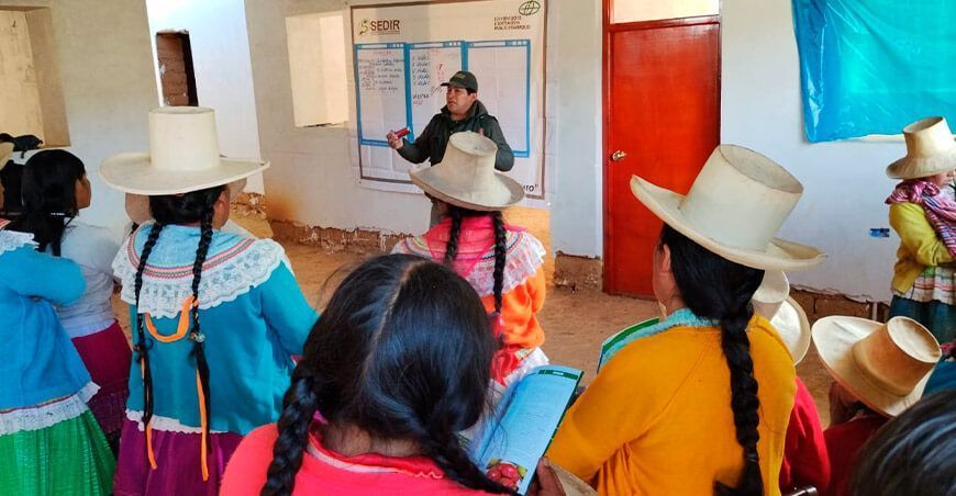 Mujeres quechuahablantes aprenderán a tecnificar la producción de cuyes Sedir Ancash Perú