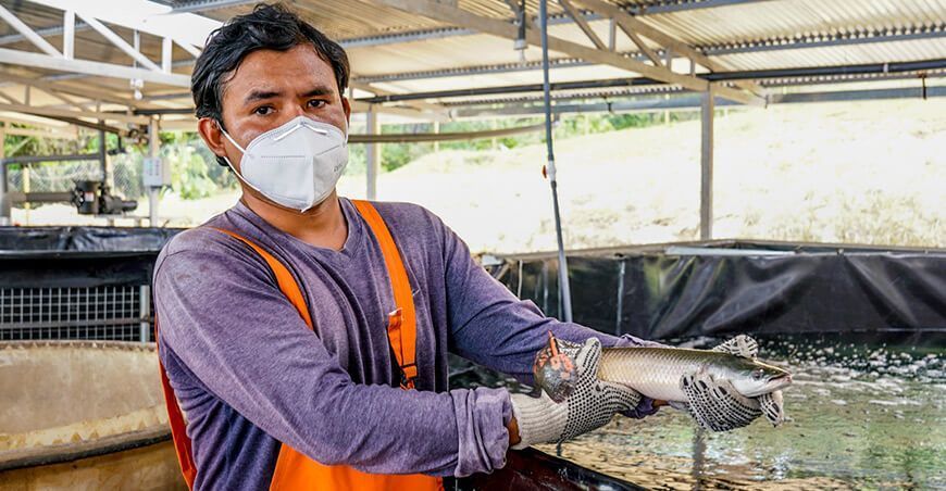 Acuipes San Martín 2024 crianza de peces amazónicos Perú acuicultura pesca