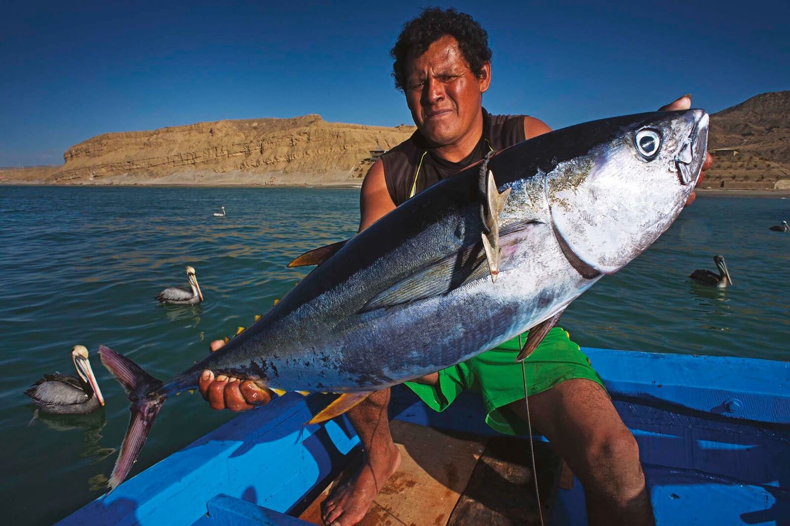 Gobierno aprueba la creación de la Reserva Nacional Mar Tropical de Grau prácticas ancestrales de pesca artesanal pescadores Piura Tumbes Perú