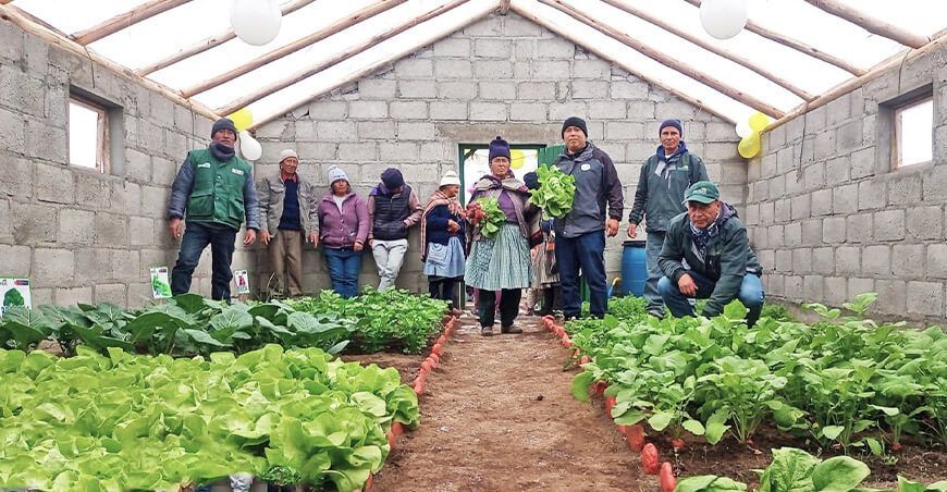 implementación de 250 fitotoldos Junín Perú