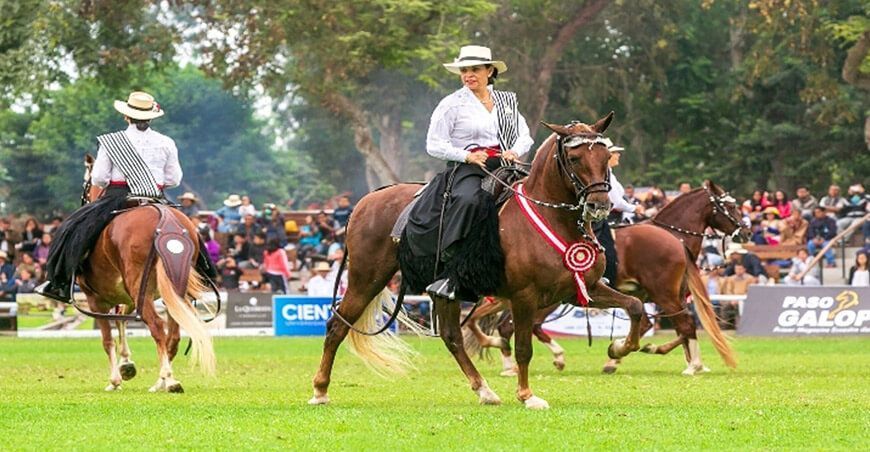 Concurso Nacional Oficial del Caballo Peruano de Paso  Lima Perú 
