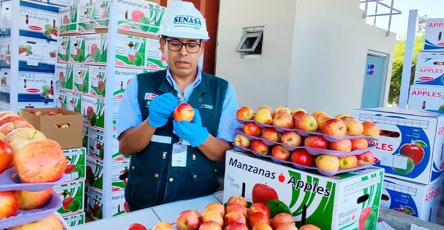 Senasa Perú suspende importación de carozos y manzana de Chile