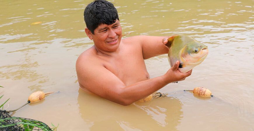 productores acuícolas crianza peces amazónicos paco Vraem Perú Devida