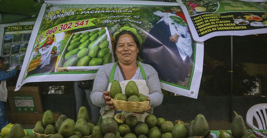 productora Festival de la Palta “Mi Valle Produce” Huánuco Perú