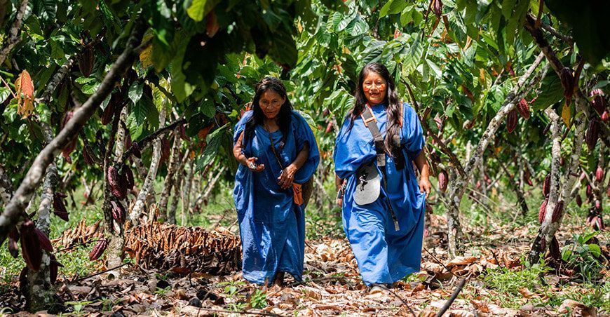 productoras nativas indígenas cultivo cacao Perú Instituto Crecer Midagri