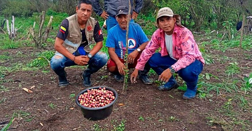 productores de cultivo de camu camu Perú