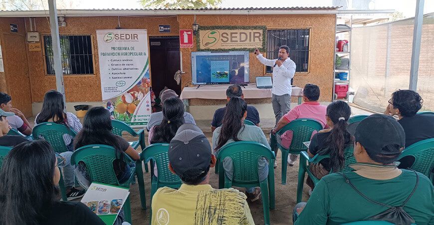 Productores de Moro reciben capacitación en el manejo de cultivos de mango Sedir Ancash Perú