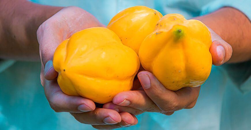 Productores de Puno venden 55 toneladas de papayita andina a agroexportadora