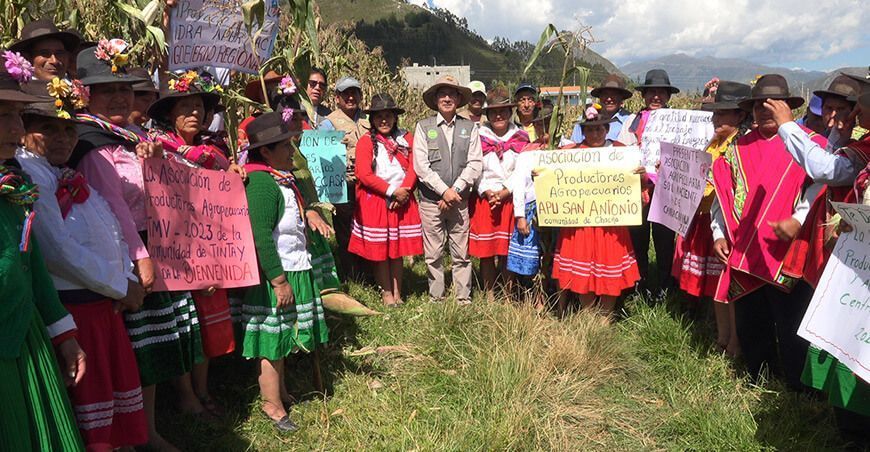 Proyecto maíz amiláceo beneficia a más de 5000 familias productoras Apurímac Perú