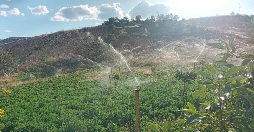 Midagri proyecto de riego por aspersión Cajamarca Perú