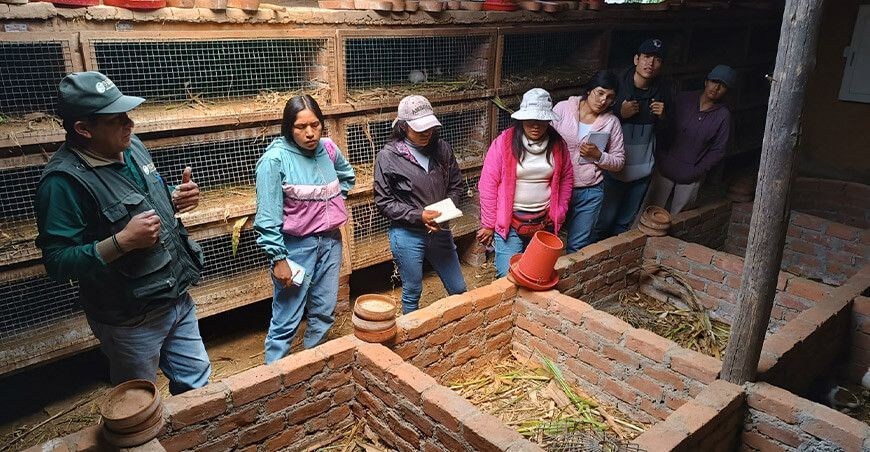 Estudiantes universitarios del Santa visitaron campos de cultivo para elaborar sus tesis Ancash Perú