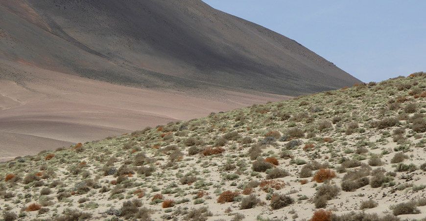 Serfor entregó la primera concesión para conservación de toda la costa peruana Ica Perú