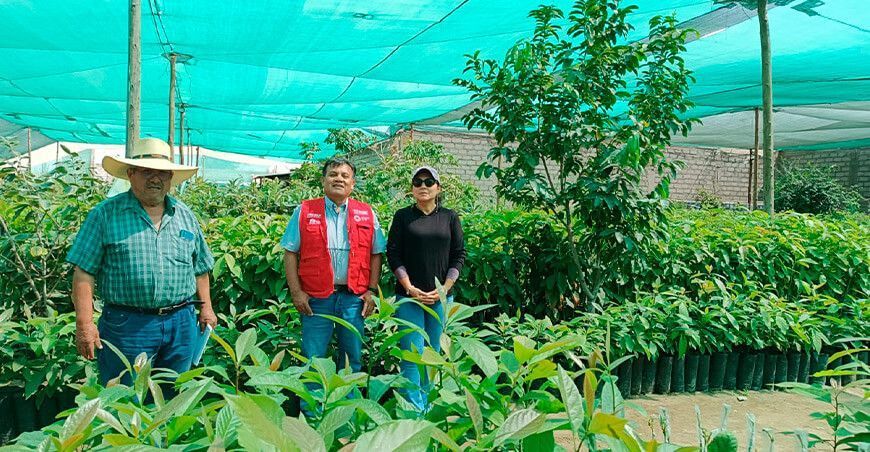 Viveros Frutos del Asia obtiene certificación Global GAP Arequipa Perú ITP
