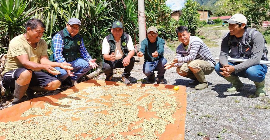 Caficultores recibieron capacitación en manejo integrado de plagas y enfermedades en Junín