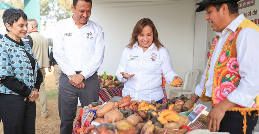 Día de la Papa: Feria “Cosechando la Diversidad, Alimentando la Esperanza” en el Parque de la Exposición