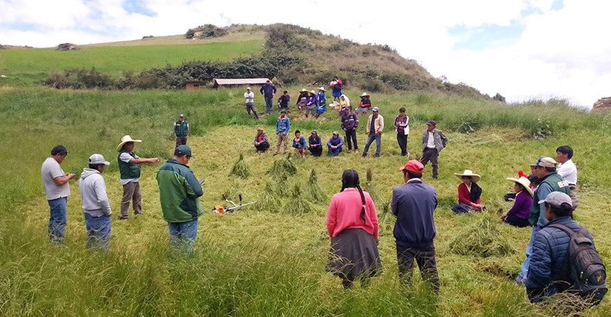 Agro Rural conservación de forraje Junín Perú