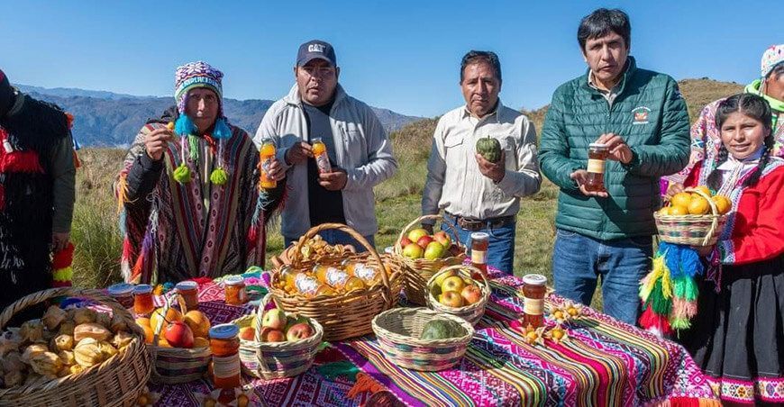 Sernanp) y la empresa Amarumayu SAC, parte del grupo AJE, han reafirmado su compromiso conjunto para impulsar la producción sostenible y la integración comercial del aguaymanto. Este esfuerzo busca beneficiar a los productores de las comunidades cercanas al Parque Nacional del Manu.