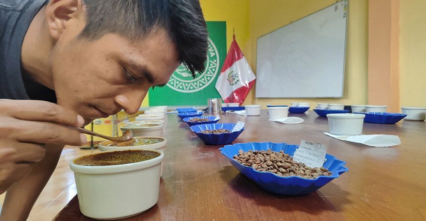 Inician análisis de calidad física, sensorial y química del café en el Vraem Devida Perú