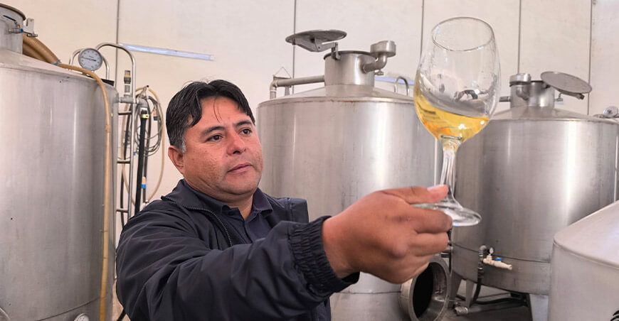 “Proyecto Vid” beneficiará a 576 viticultores y 53 bodegas vitivinícolasen Tacna Perú