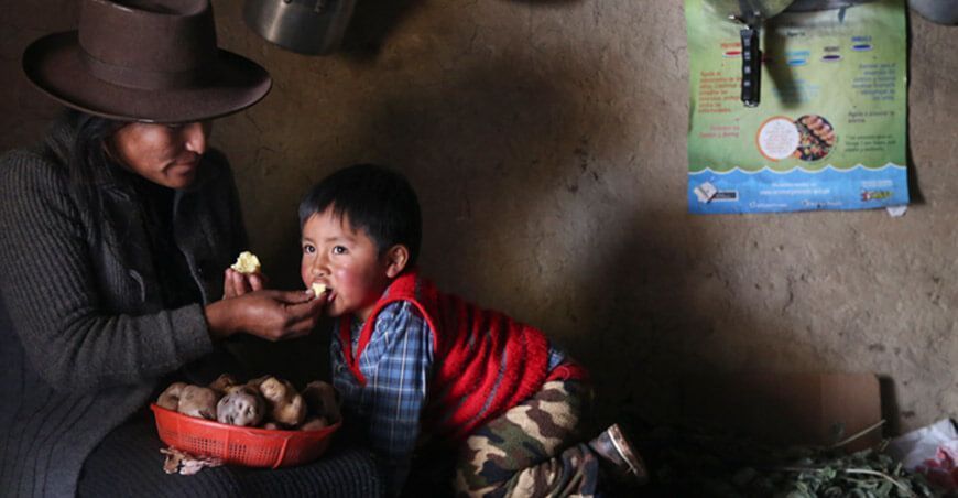 La papa biofortificada con hierro contribuye a la lucha contra la anemia Día Internacional de la Papa
