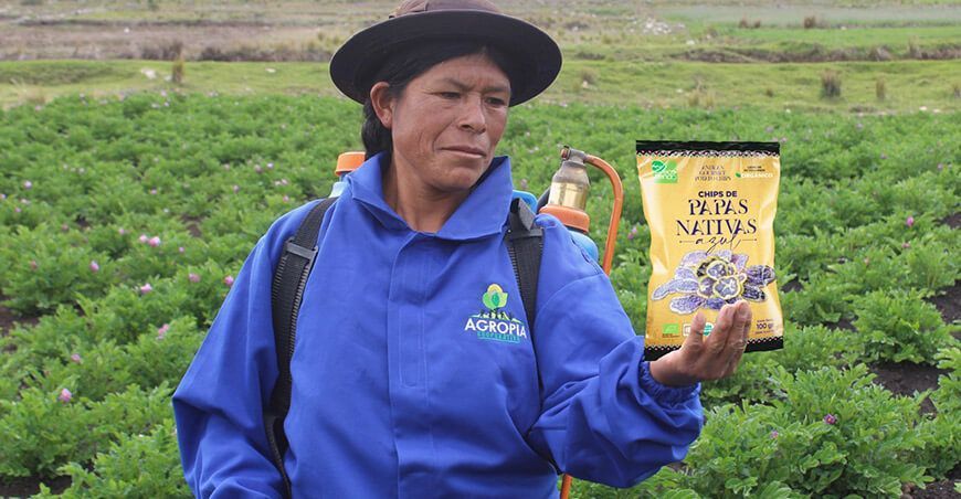 Central de Productores Agropecuarios para la Industria Andina – Agropia de la región Junín desarrolló una línea de snacks de papas nativas orgánicas con pigmentación rojo y azul y con un menor índice de acrilamidas chips papas nativas
