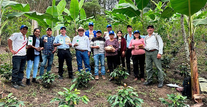 Formalizan a seis organizaciones agrarias cafetaleras de Piura