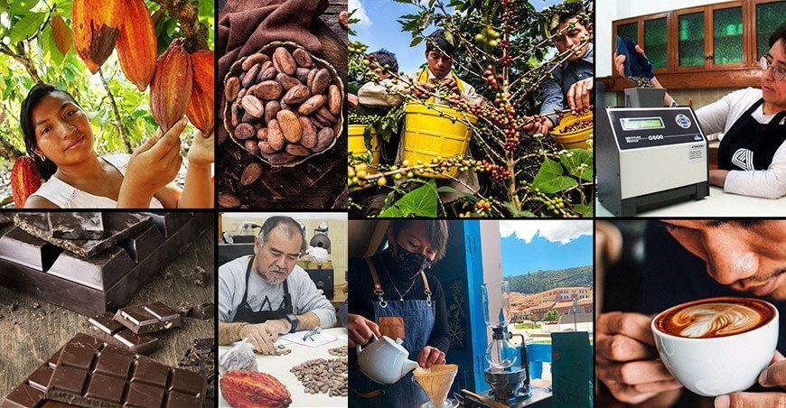 Convención Nacional del Café y Cacao Perú