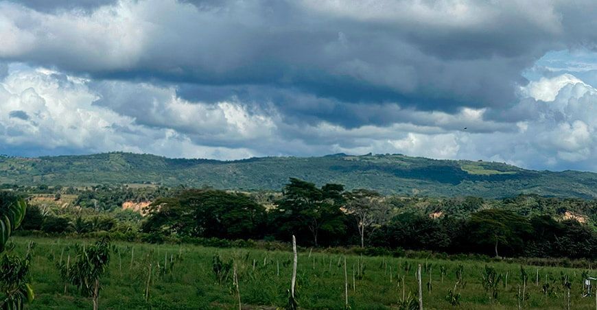 Continuará el descenso de la temperatura nocturna en la selva hasta los 15 °C Senamhi Perú